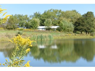 Property photo 41 - Tillable, Pasture, Recreational, Hunting and Fishing Property  